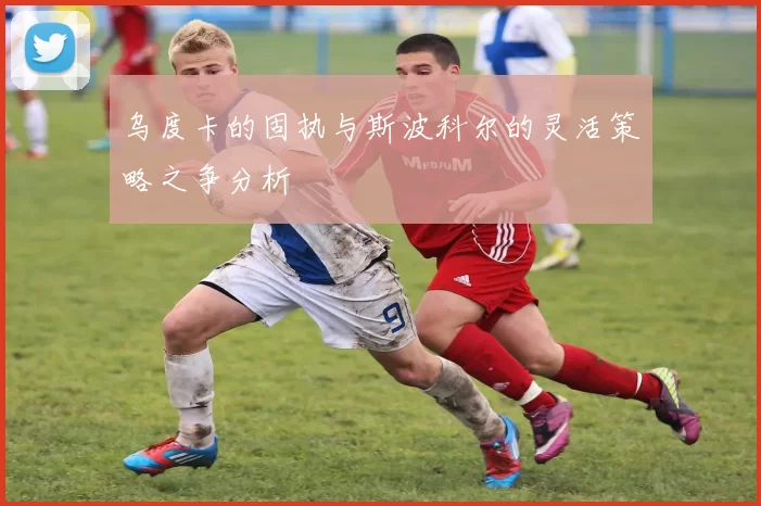 乌度卡的固执与斯波科尔的灵活策略之争分析